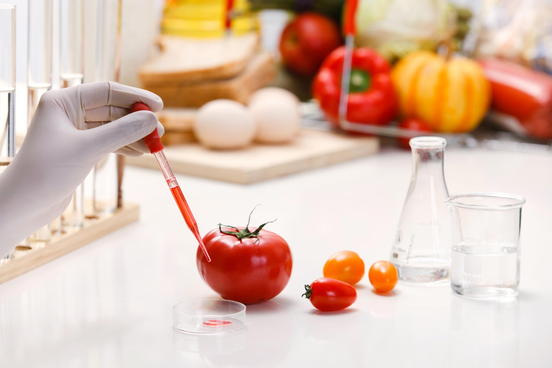 Analisi delle matrici alimentari ConServizi